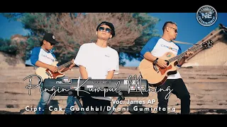 Download Pingin Kumpul Maning - James AP (Official Music Video) MP3