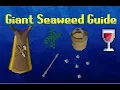 Ironman Giant Seaweed Crafting Guide