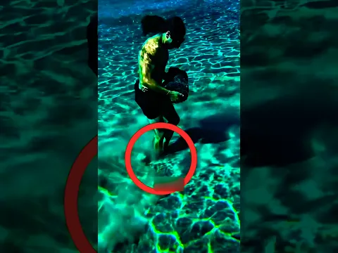 اوعى تعمل زي الراجل ده وانت بتغطس