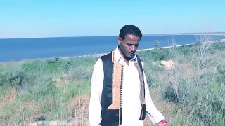 أحميدة الفايدي الايام الزينة الشريعي 01221314677 