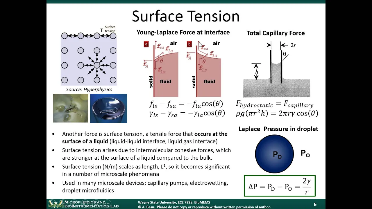 BioMEMS Module 5A - Microfluidic Laminar Flows and Mixers