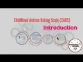 Childhood Autism Rating Scale CARS Explained Complete Guide