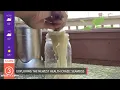 WATCH What s New with Jay Crawford and Sara Shookman