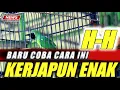 Download Lagu KETEMU EMOSINYA❗CUCAK IJO MANDI H-H ENAK,SIAP LOMBA COBA SAJA,BISA TAU EMOSI DAN BIRAHI||KICAUMANIA