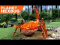 Planet HEXBUG - Episode 1 The Scorpion