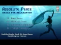 Ragas For Relaxation - Absolute Peace | Audio Jukebox | Classical | Instrumental | Various Artists