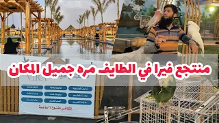 جولة و تغطية لأحد المنتجعات منتجع فيرا في الطائف السيل الصغير منتجع فيرا جميل جدا لا يفوتكم 