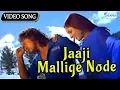 Download Lagu Jaaji Mallige Node - Divya Spadana - Kannada Love Songs