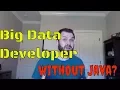 Big Data Developer without Java