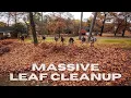 INSANE amount of Leaves BIGGEST clean up of the YEAR 8 guys in LESS than 2 hours HUGE corner lot