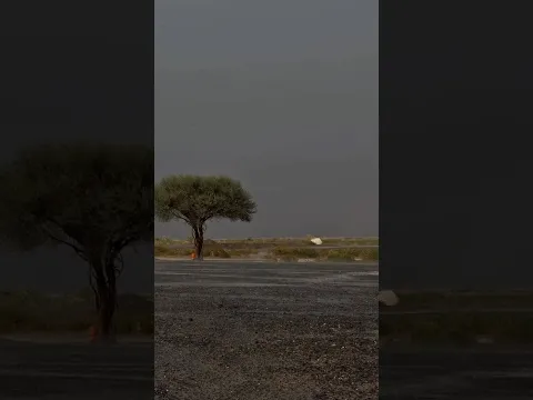 Powerful storm at Maleha, Sharjah Emirate, Monday 12-October-2026 at 4.10 PM
