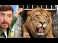I__Saved__1,000_Animals_From_Dying_https://youtu.be/Oo9EbArcQ1c?si=DnZE91Domm3jefrT