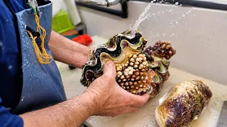 Japanese Street Food - BABY GIANT CLAM Sashimi Okinawa Seafood Japan