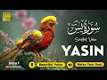 Download Lagu Relaxing Surah Yasin for Sleep, Depression, \u0026 Anxiety ✦ Yaseen سورة يس ✦ Peaceful Quran ✦ Hejazi