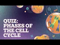 Quiz Phases of Mitosis