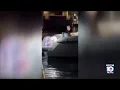 shows aftermath of alleged drunk boating crash in Fort Lauderdale