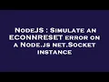 NodeJS Simulate an ECONNRESET error on a Node js net Socket instance