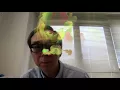 Face detection and fluid simulation in Processing