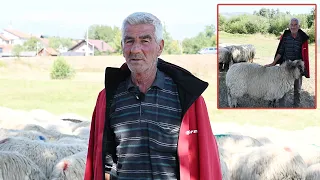 Ševal prodaje 80 ovaca prve klase - napušta ovčarstvo