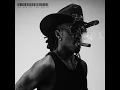 No Son Of The South