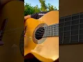 How to play flamenco acoustic guitar easy level for beginner tutorial