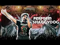 Download Lagu SHAGGYDOG - Live Perform at Festival 76 INDONESIA ADALAH KITA 2023