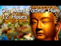 Download Lagu SLEEP MEDITATION - Om mani padme hum mantra 12 hour full night meditation with Tibetan Monks