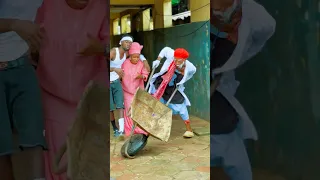 31 Juillet 2024  31 Juillet 2024