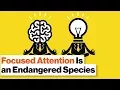 Train Your Brain Mindfulness Meditation for Anxiety Depression ADD and PTSD Daniel Goleman