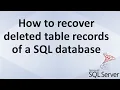 How to restore deleted transactions in SQL server PITR Ms SQL