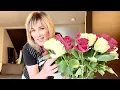Download Lagu НОРВЕГИЯ 🇳🇴 МОИ МЫСЛИ ОБ ЭМИГРАЦИИ И ЖИЗНИ. КОГДА ВСЁ МОЖНО, НО НИЧЕГО НЕ ХОЧЕТСЯ..