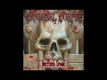 Cannibal Corpse - The Wretched Spawn