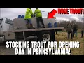 STOCKING TROUT FOR OPENIING DAY IN PENNSYLVANIA