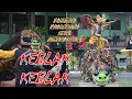 Download Lagu Macan Keblak Keblak Jaranan Barong Lancing Purwo Pangestu Banyuwangi di SMKN 1 seni aktualisasi dpar