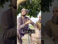 Lagu Best Punjabi Kalam Mian muhammad Bakhsh | Waqat Jawani Zaya kr ke | Saif Malook | Sultan Ateeq 2023