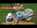 Download Lagu Susah Nyari Kerja  Mendingan Jualan Ayam potong keliling