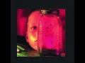 Nutshell - Alice in Chains