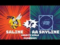 Saline Hornets vs AA Skyline Eagles Girls Varsity 2024