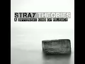 Stray Theories - Like The Way