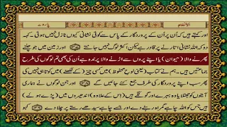 6 SURAH ANAAM JUST URDU TRANSLATION WITH TEXT FATEH MUHAMMAD JALANDRI HD 