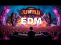 Download Lagu EDM 2025 - Electronic Music - NEW MIX