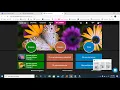 Accessing Envision through Clever