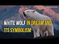 White Wolf In Dream And Its Symbolism