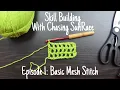 Basic Mesh Stitch Skill Building SunRaee Ep 1