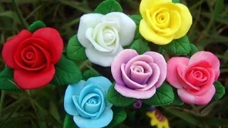 وضاع حبى هناك جمال سلامة 