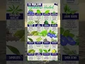 Download Lagu 16 macam tumbuhan herbal #herbal #tumbuhanherbal #viralvideo #trending #tanamanobat #tanamanherbal