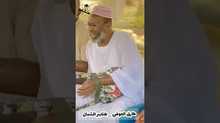 طارق العوض امونة طنابير الشمال أغنيات سودانية Sudanesongs 2025 