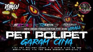 dj pet polipet angka 7 virall tik tok 2025 new remix ddmusic official