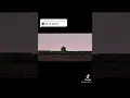 i did not hit her but kermit dies