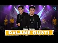 DELVA IRAWAN - DALANE GUSTI FT. NEW ARISTA (Official Music Video)